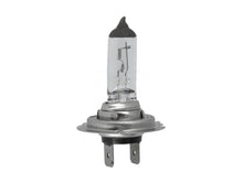 Genuine Bulb for MAN, Volvo, DAF & Renault Trucks | Buy Online UAE