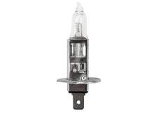 Bulb for DAF, MAN, Volvo, Renault & Scania Trucks - Genuine