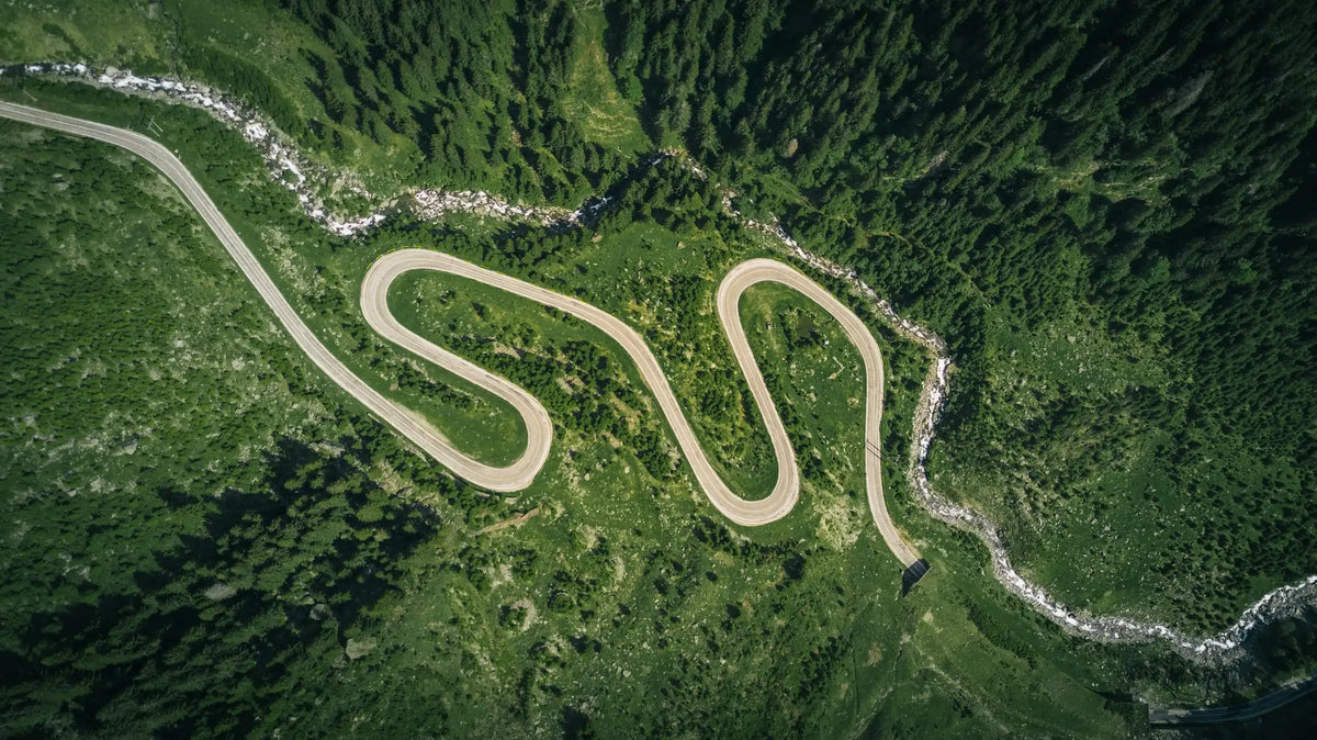 Winding road through a green forest