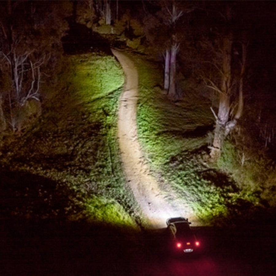 Car driving on a dark forest road with headlights illuminating the path.