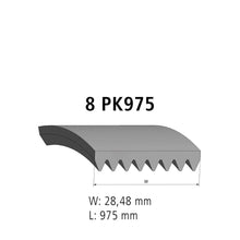Renault Volvo Multi-Ribbed Belt – for FH FM Magnum Trucks