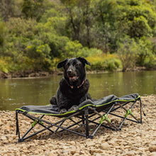 Ironman 4x4 Quick Fold Dog Bed XL | Elevated Travel Pet Bed with Padded Mat UAE