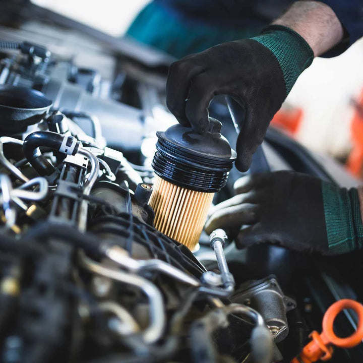 Person working on car